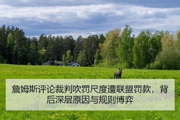 zhan-mu-si-ping-lun-cai-pan-chui-fa-chi-du-zao-lian-meng-fa-kuan-bei-hou-shen-ceng-yuan-yin-yu-gui-ze-bo-yi-2-154.jpg